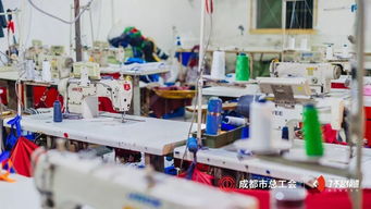 感謝每個留在成都的人，讓我更愛這座城 信息技術咨詢服務的溫情力量